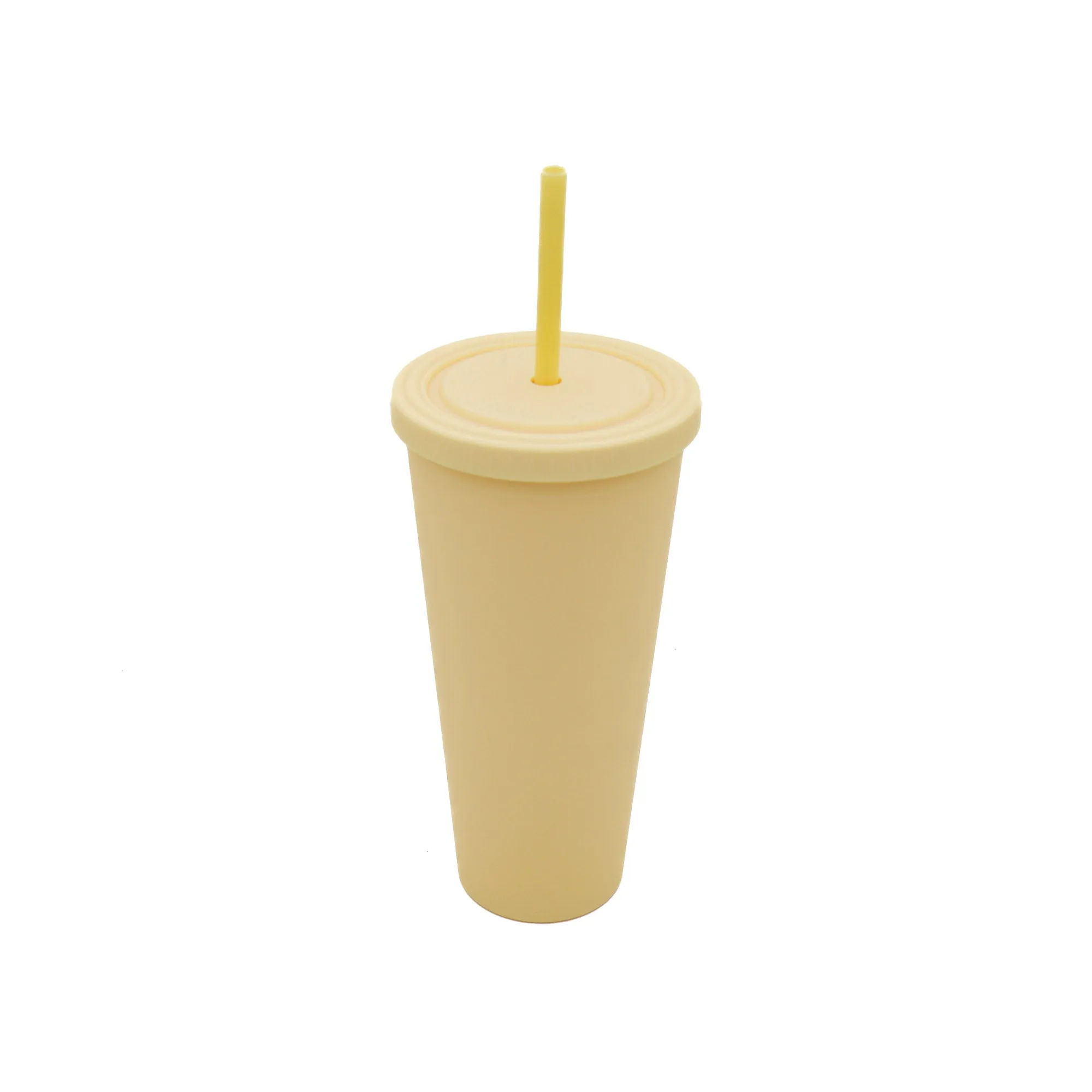 Acrylic Drinking Tumbler 600ml Pastel Colored Matte Finish Cup & Straw