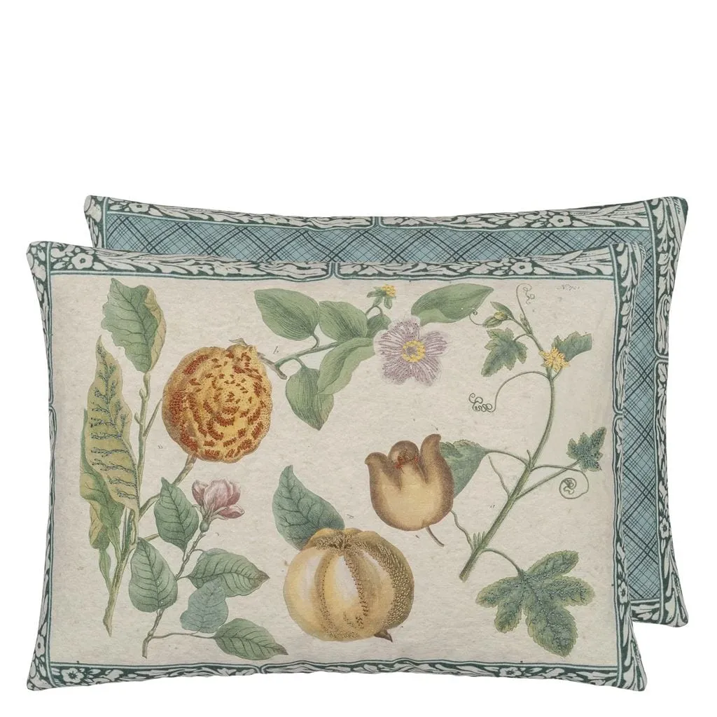 John Derian Lemons Canvas Decorative Pillow