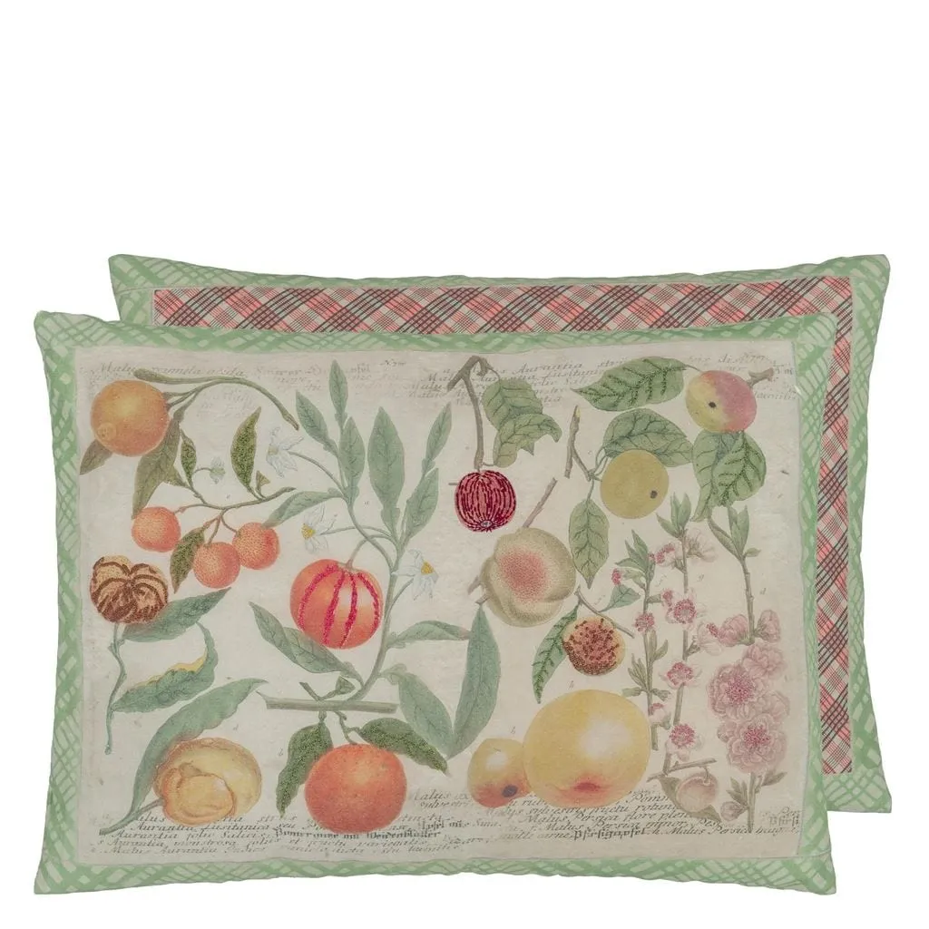 John Derian Oranges Canvas Decorative Pillow