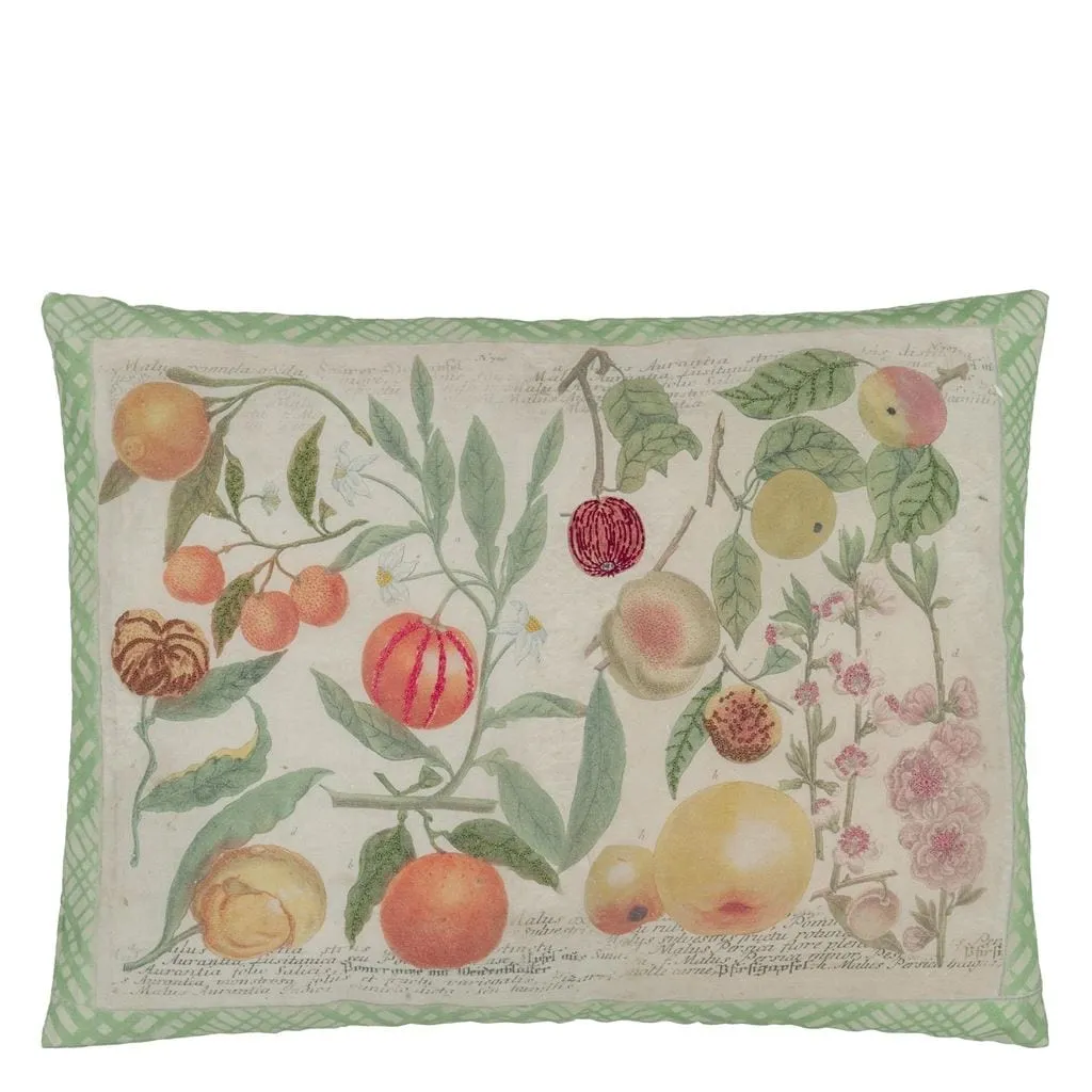 John Derian Oranges Canvas Decorative Pillow