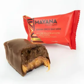 Mayana Chocolate | Mini Mayan Spice Mini Bar