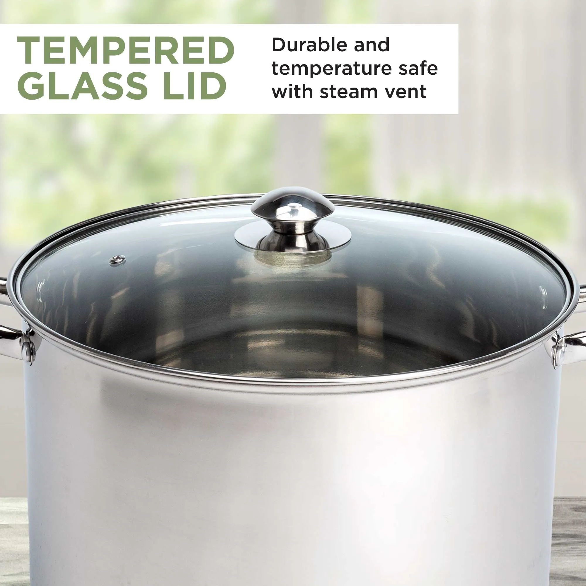 Pure Intentions Stainless Steel Stockpot, Includes Glass Lid