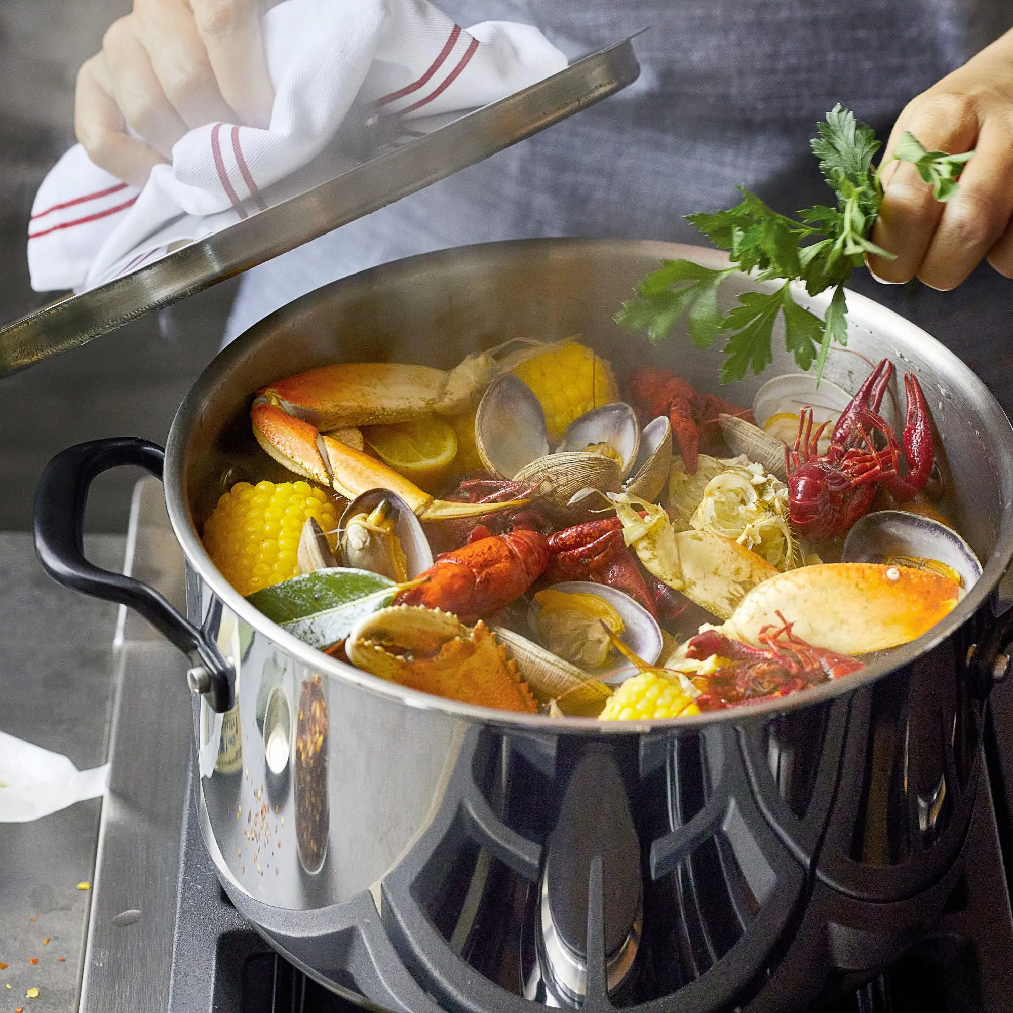 Stainless Steel 5-Ply Clad 8-Quart Stockpot with Lid